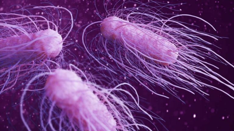 ilustrasi-bakteri-salmonella_169