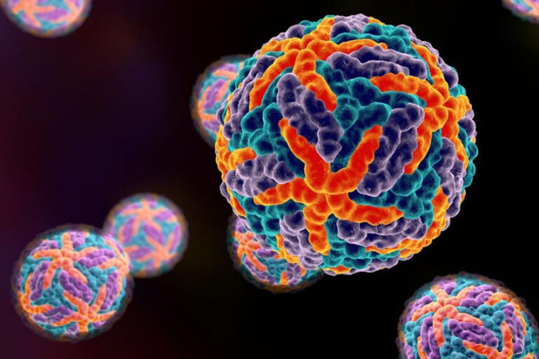 094934200_1483452540-5-Virus-Dengue---Kecil_2C-Unik_2C-dan-Berbahaya