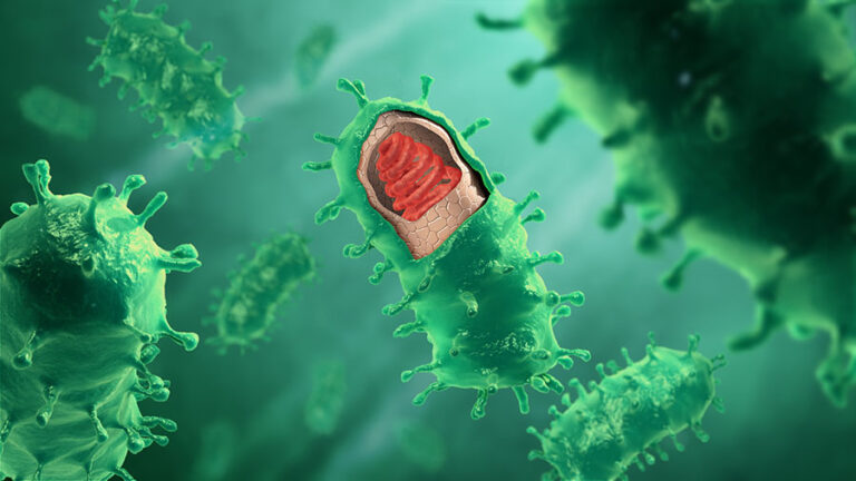 Rabies-virus-structure