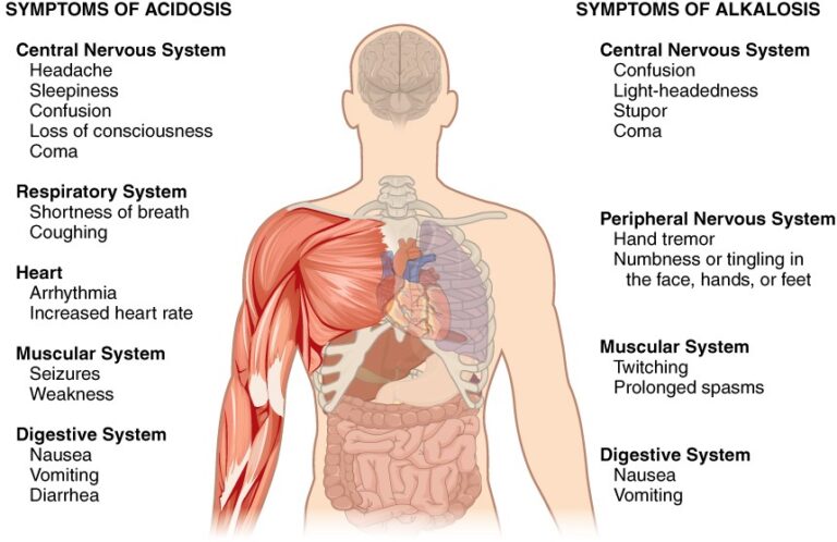 2716_Symptoms_of_Acidosis_Alkalosis