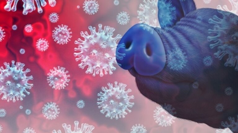 93653-ilustrasi-virus-g4-penyebab-flu-babi