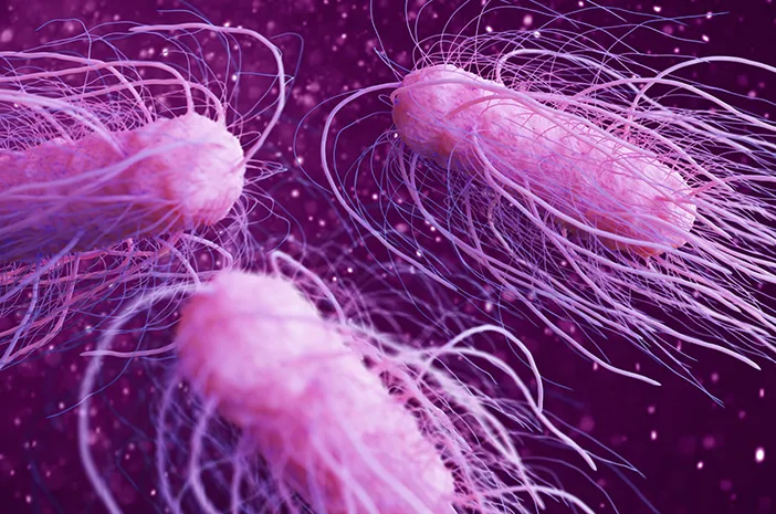 X-Gejala-Umum-Infeksi-Salmonella-yang-Dapat-Terlihat.jpg