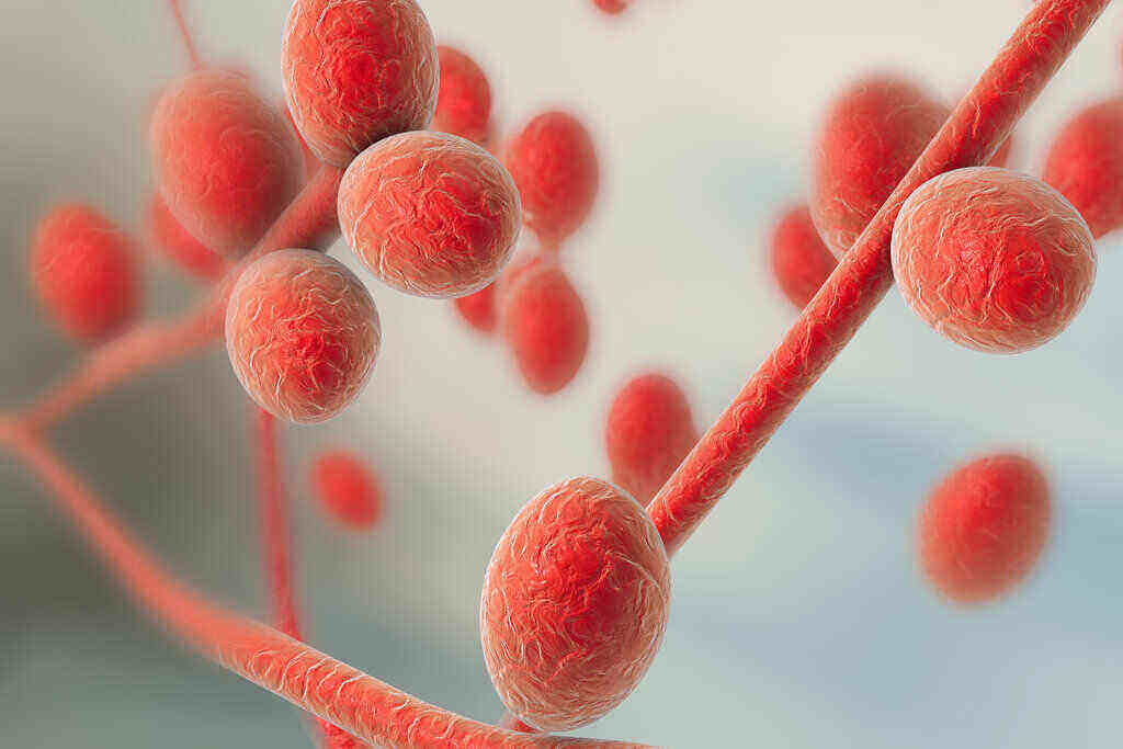 tinea-barbae-doktersehat