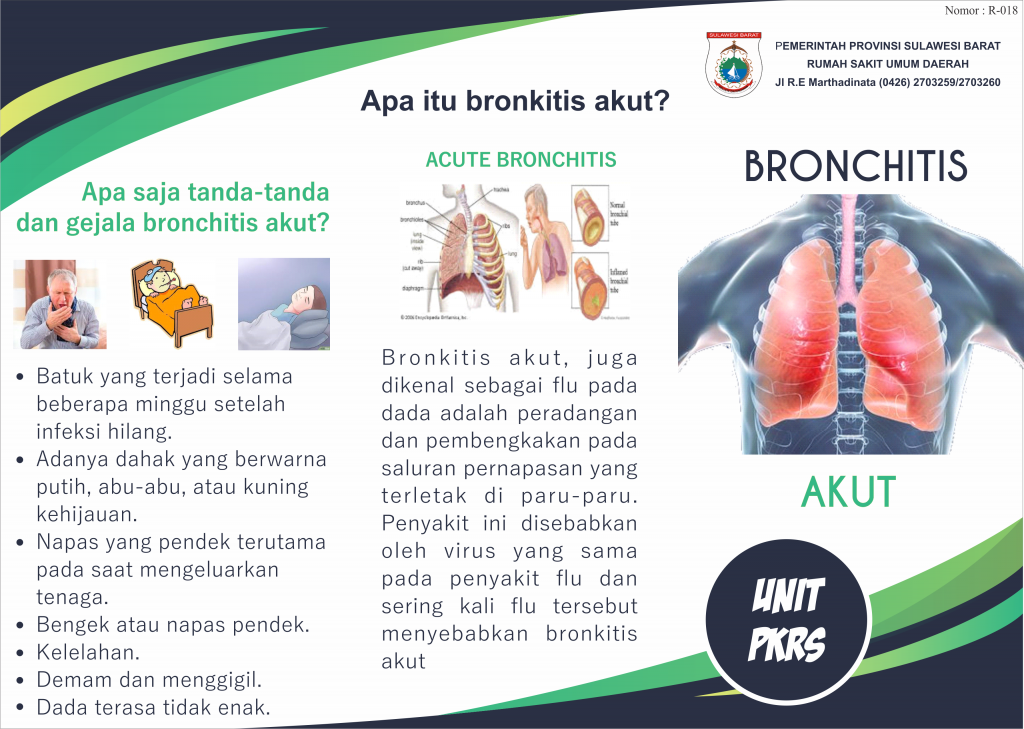 panduan-lengkap-mengenai-bronkitis-penyebab-gejala-dan-pengobatan