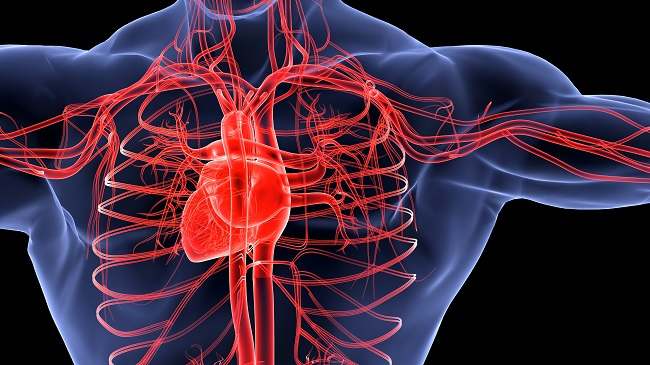 kesehatan-dan-gejala-arteritis-takayasu-penjelasan-lengkap