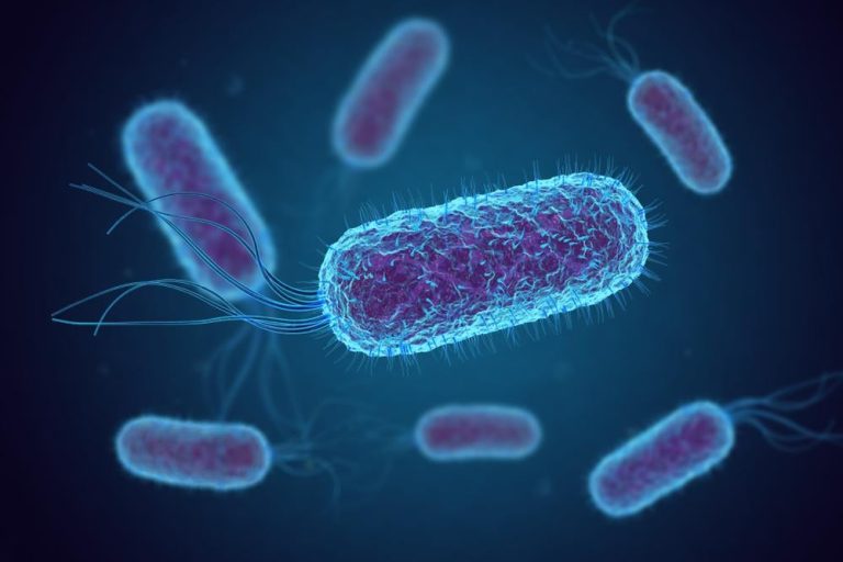 infeksi-bakteri-penghasil-esbl-gejala-penyebab-dan-pencegahan