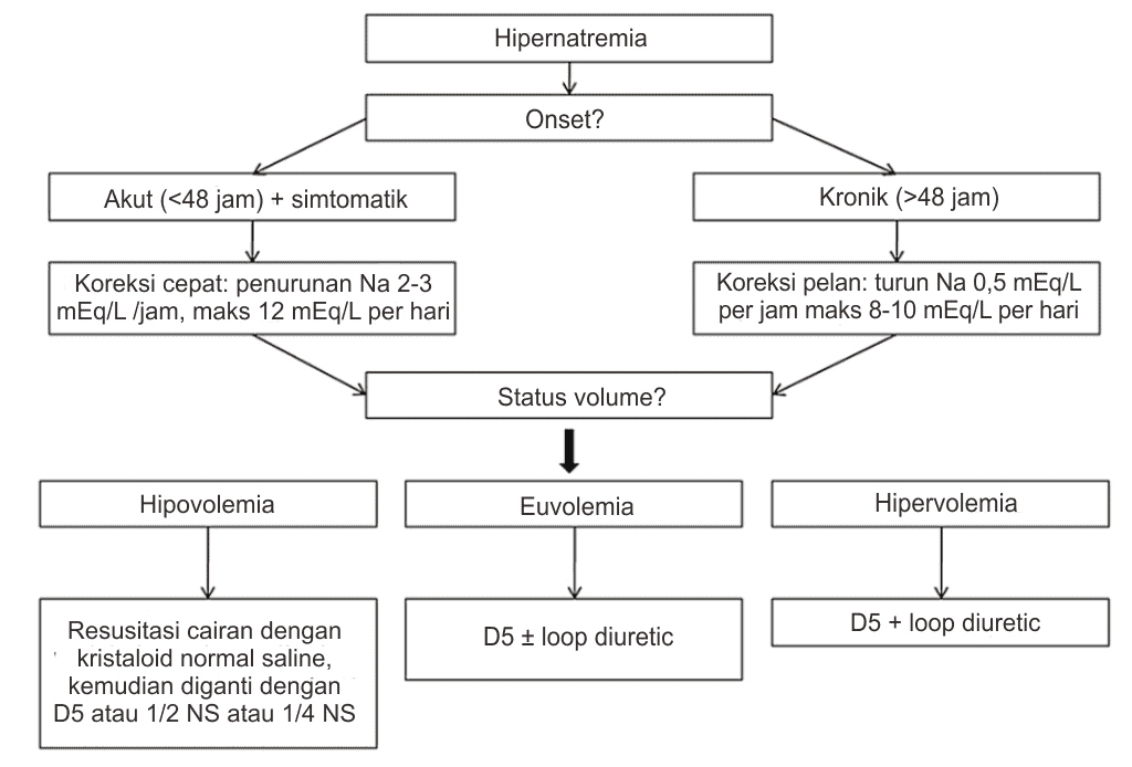 kesehatan-hipernatremia-penyebab-gejala-dan-penanganan