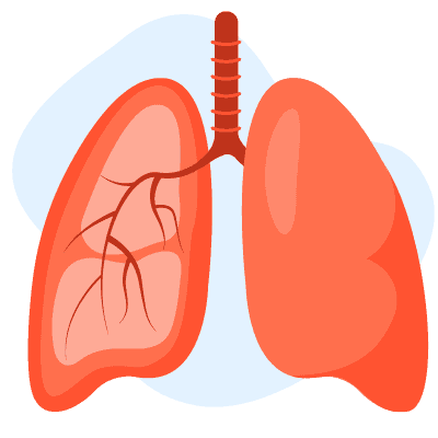 pemahaman-tentang-efusi-perikardium-penyebab-gejala-dan-pengobatan