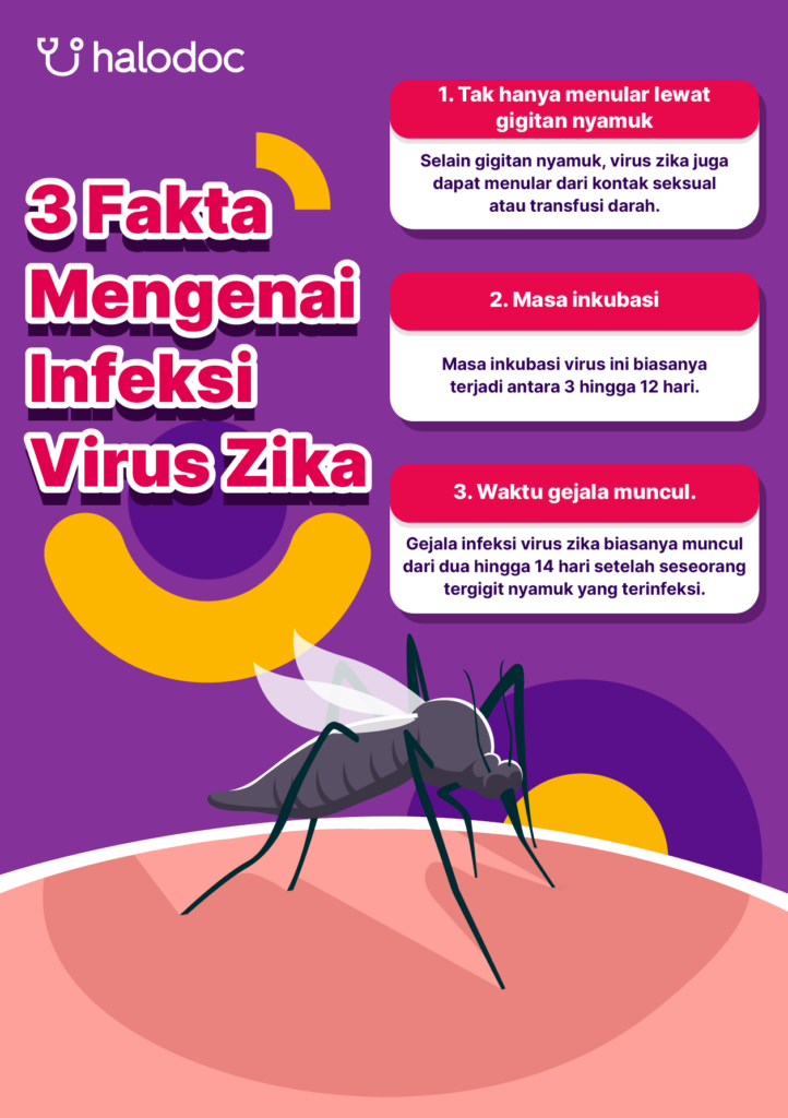 pemahaman-tentang-kesehatan-dan-dampak-virus-zika