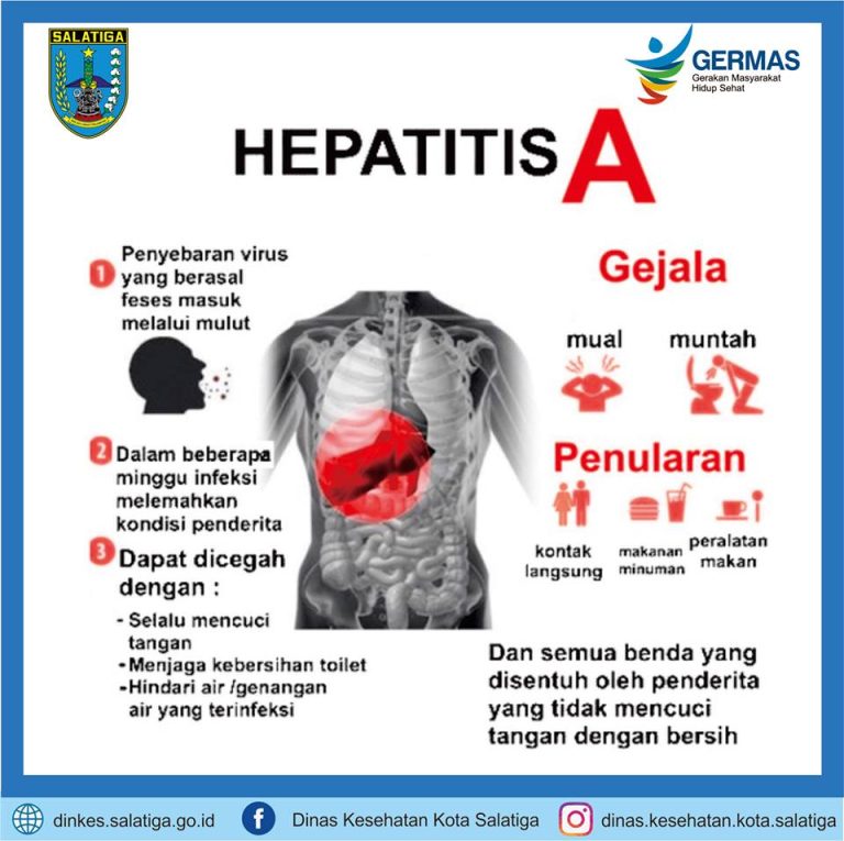 pemahaman-tentang-kesehatan-dan-pencegahan-hepatitis-a