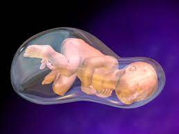 pemahaman-tentang-kesehatan-fetal-distress-gawat-janin