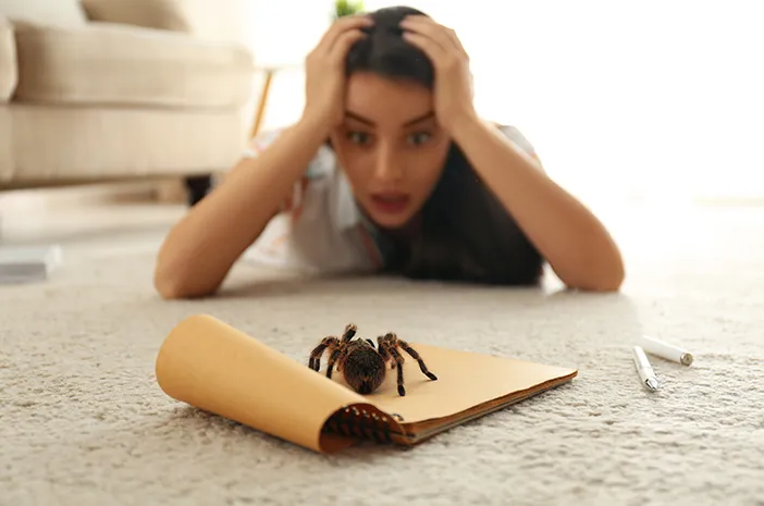 kesehatan-dan-dampak-arachnophobia-terhadap-kehidupan-sehari-hari
